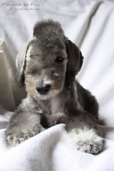 Antares 2009-08-01 & 02 (19).JPG